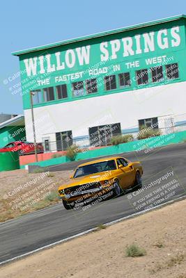 media/May-07-2022-Cobra Owners Club of America (Sat) [[e681d2ddb7]]/Yellow/Session 1 (Turn 4)/